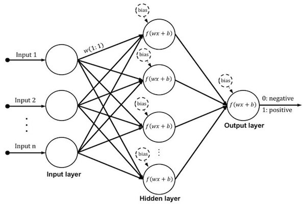 Neural Networks
